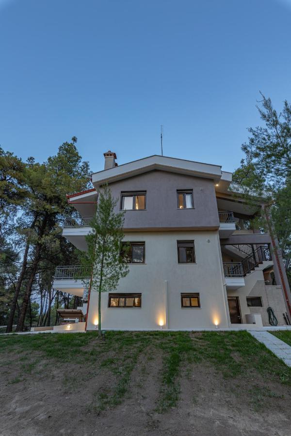 Natura Apartment Vourvourou